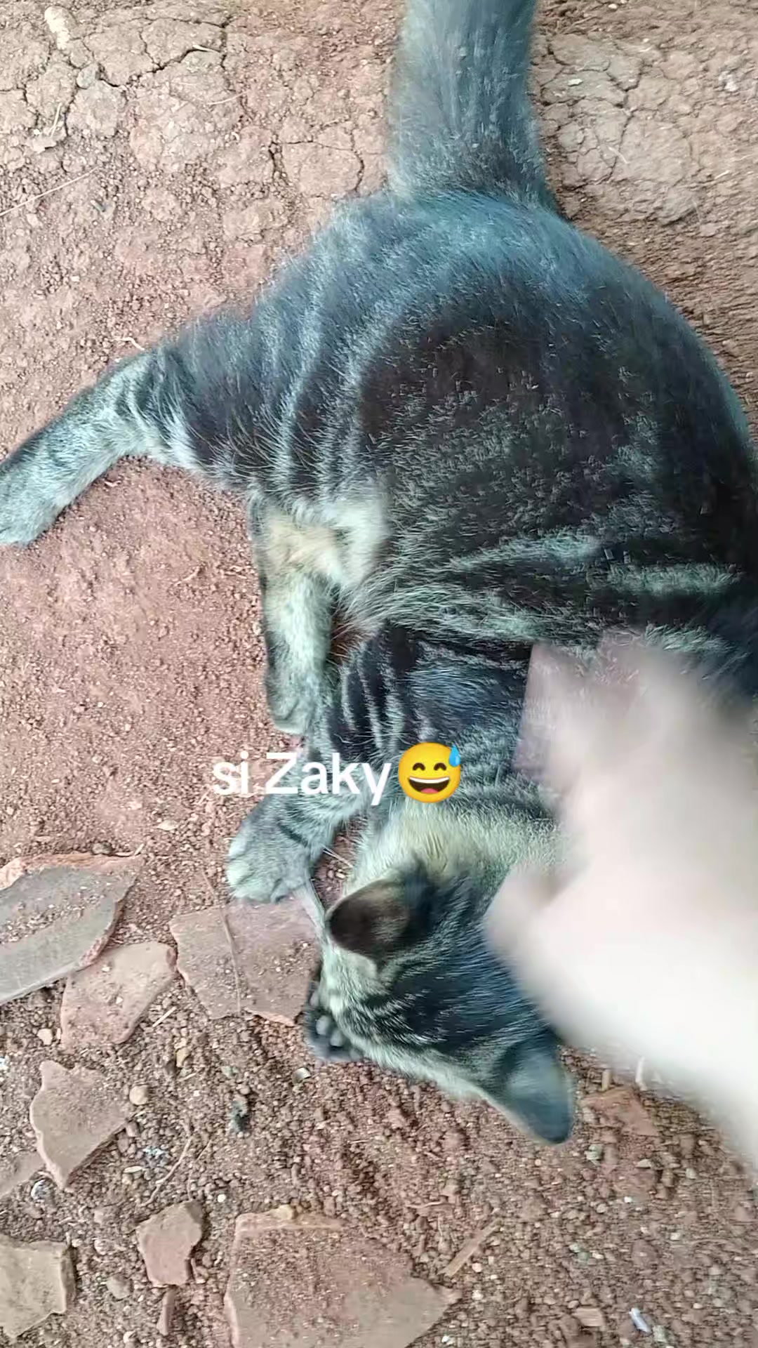 @Rizqi