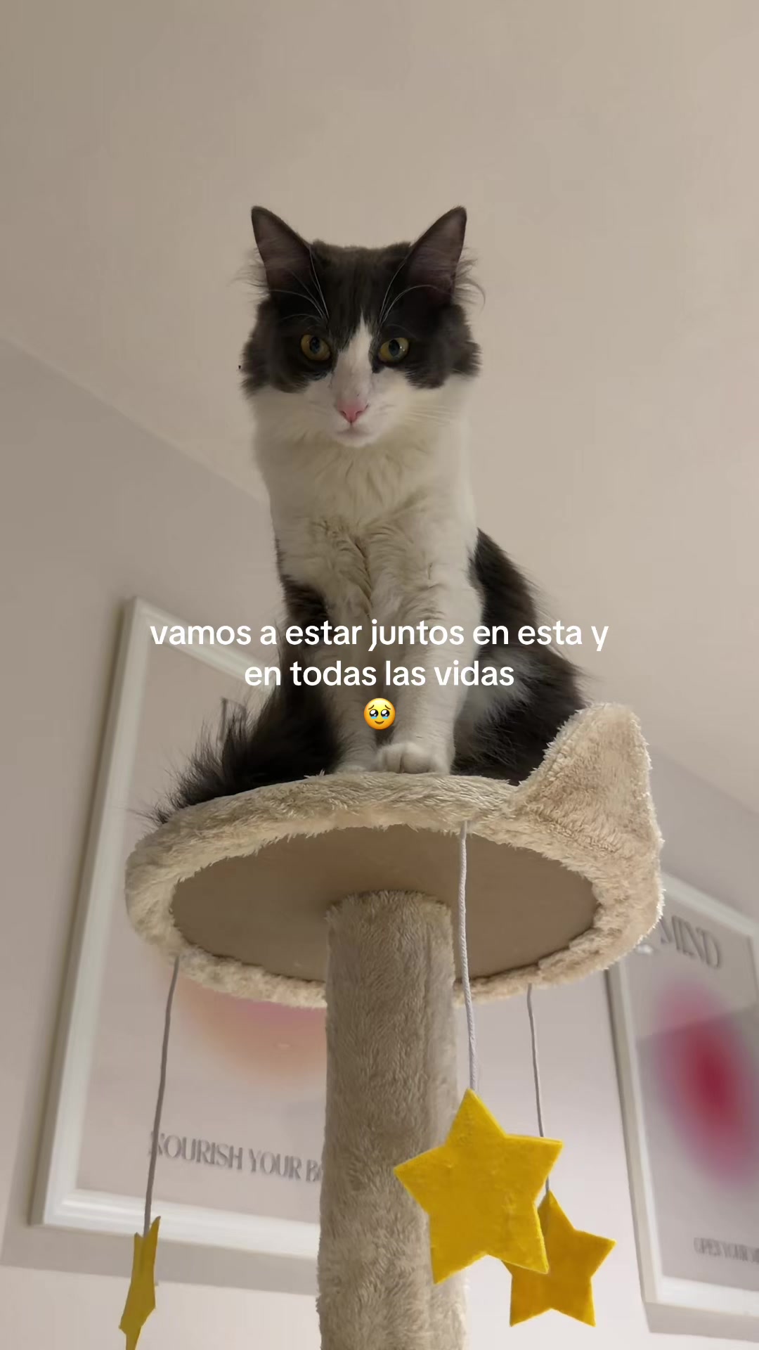 @𝓥 𝓪 𝓷 𝓷 𝓮