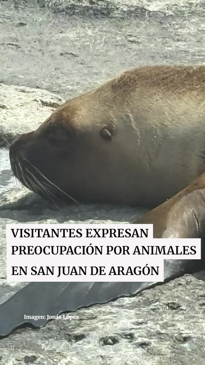 @Peri&oacute;dico Exc&eacute;lsior