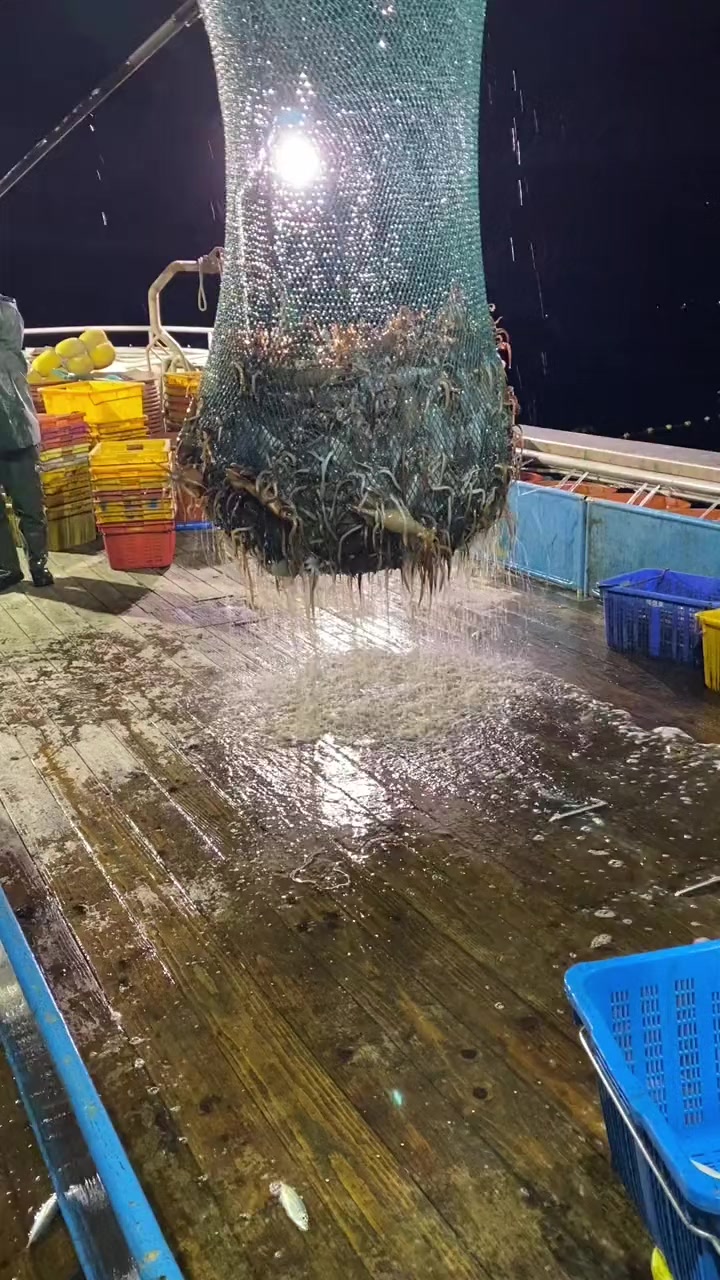 @🛳️hàmìdø⚓⚡Ræysë🐬🏴☠️