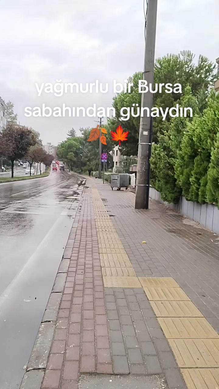 @emine_163519