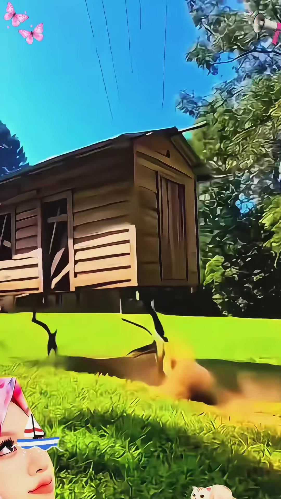 @faas648