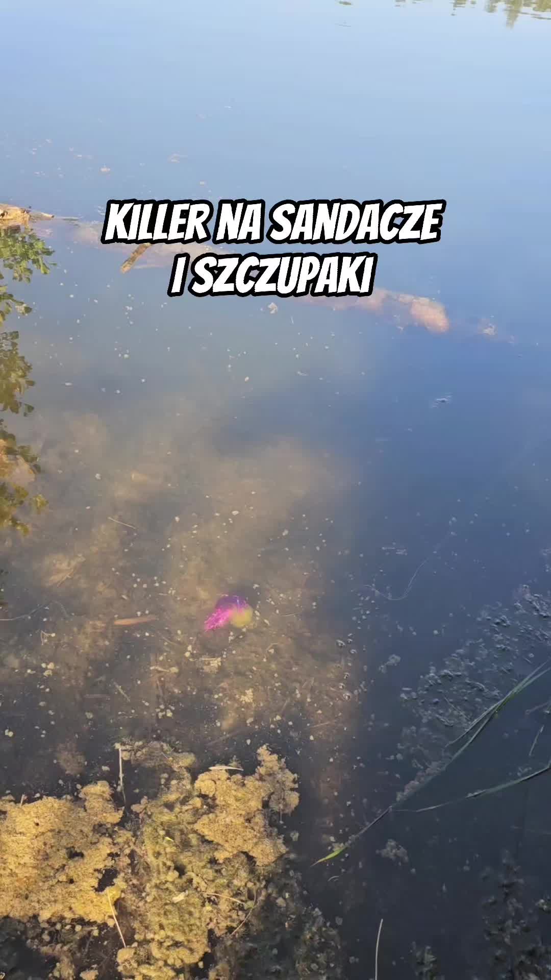 @mfly_lures