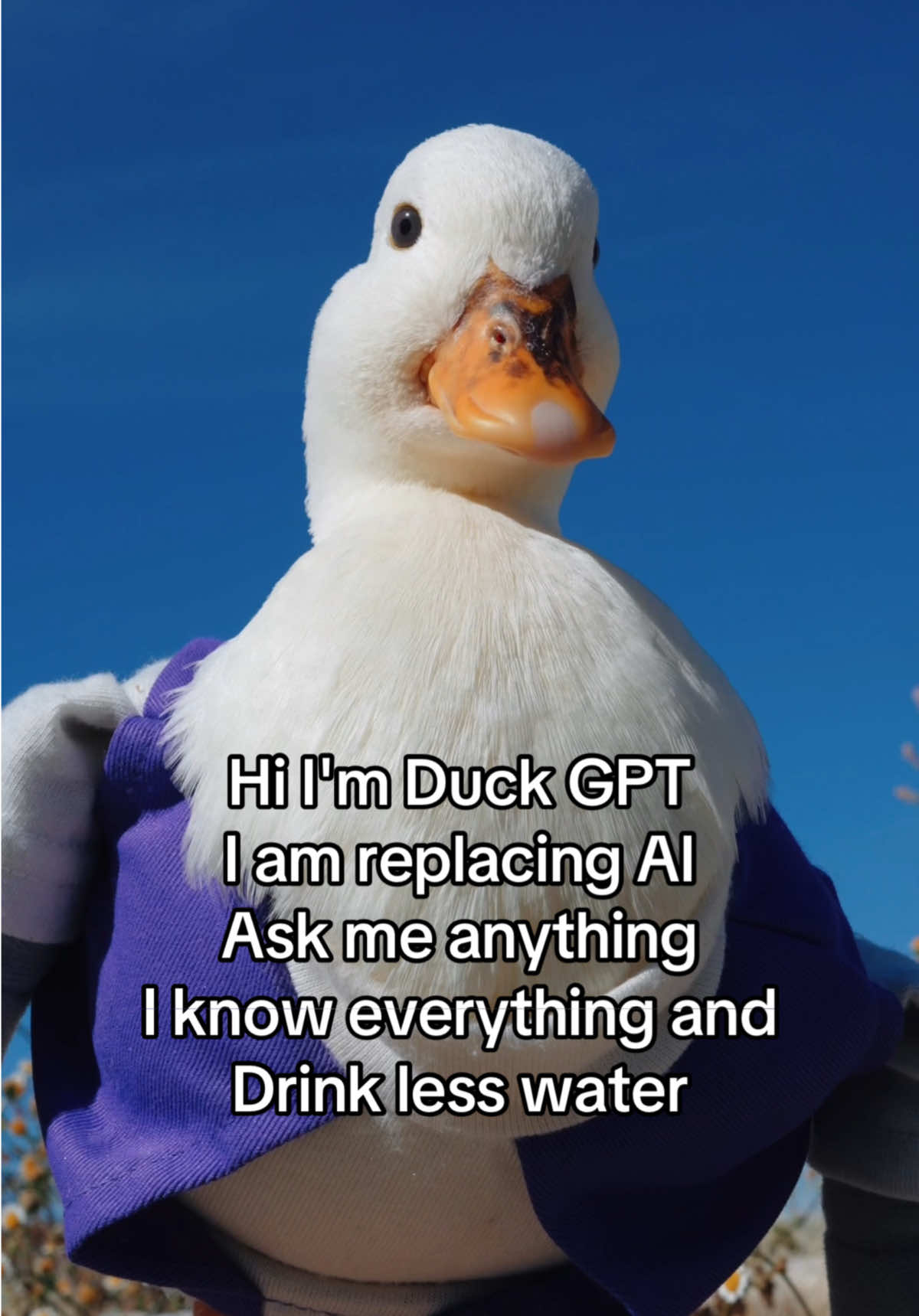 @ducks_in_space🪿🪿💦