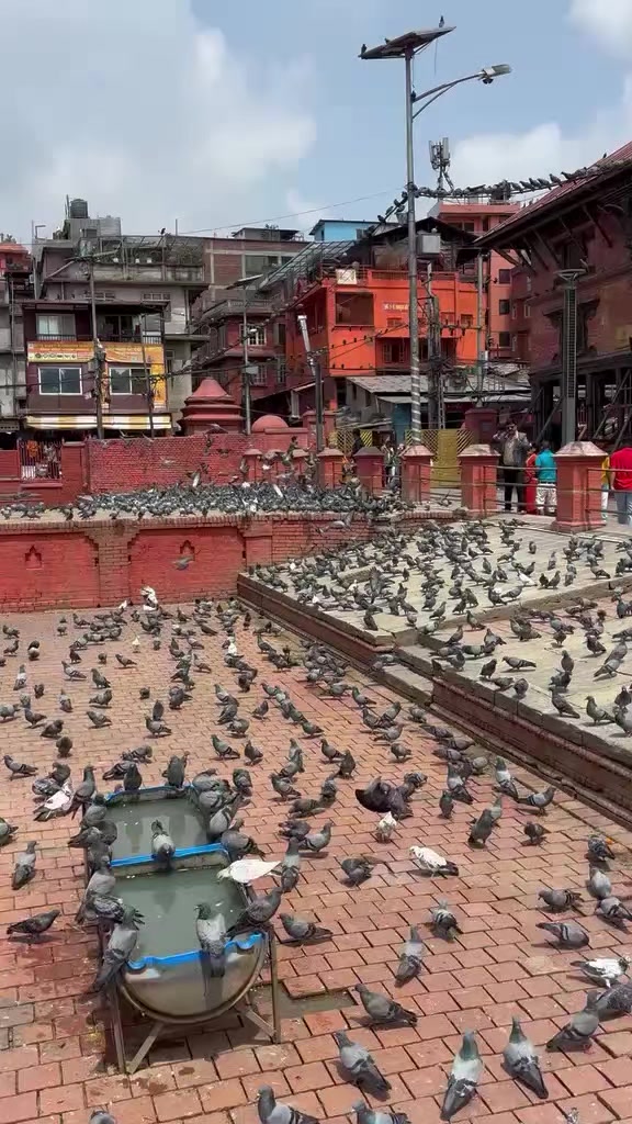 @Pankaj❤️&zwj;🩹