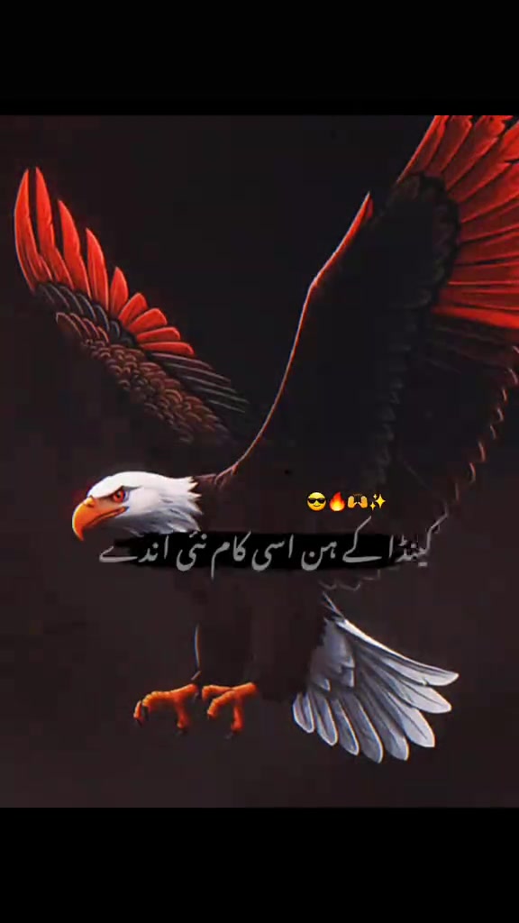 @Usman khan 302🇵🇰🇸🇦🇧🇫