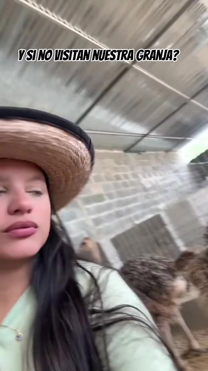 @Granjamascotalandiayaracuy