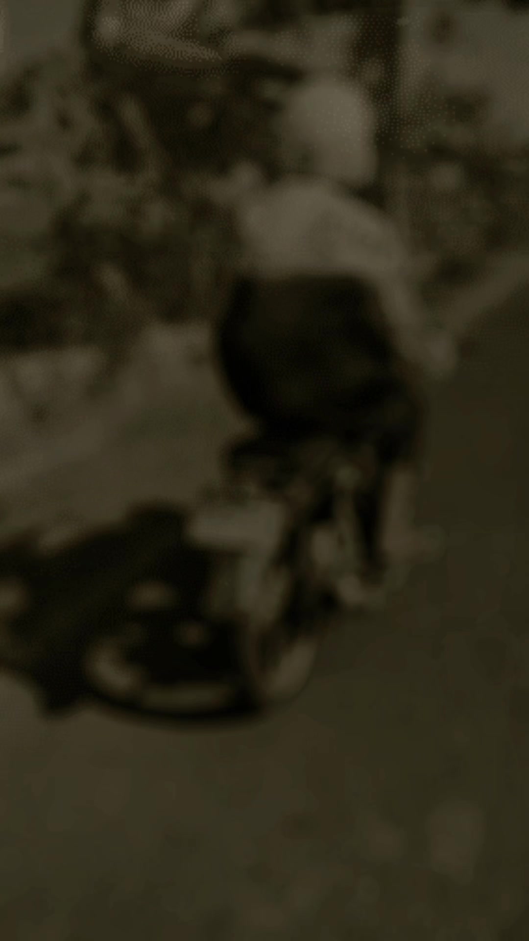 @oʙʙʏʏ 