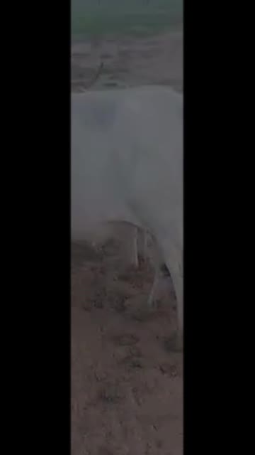@Diallo 222