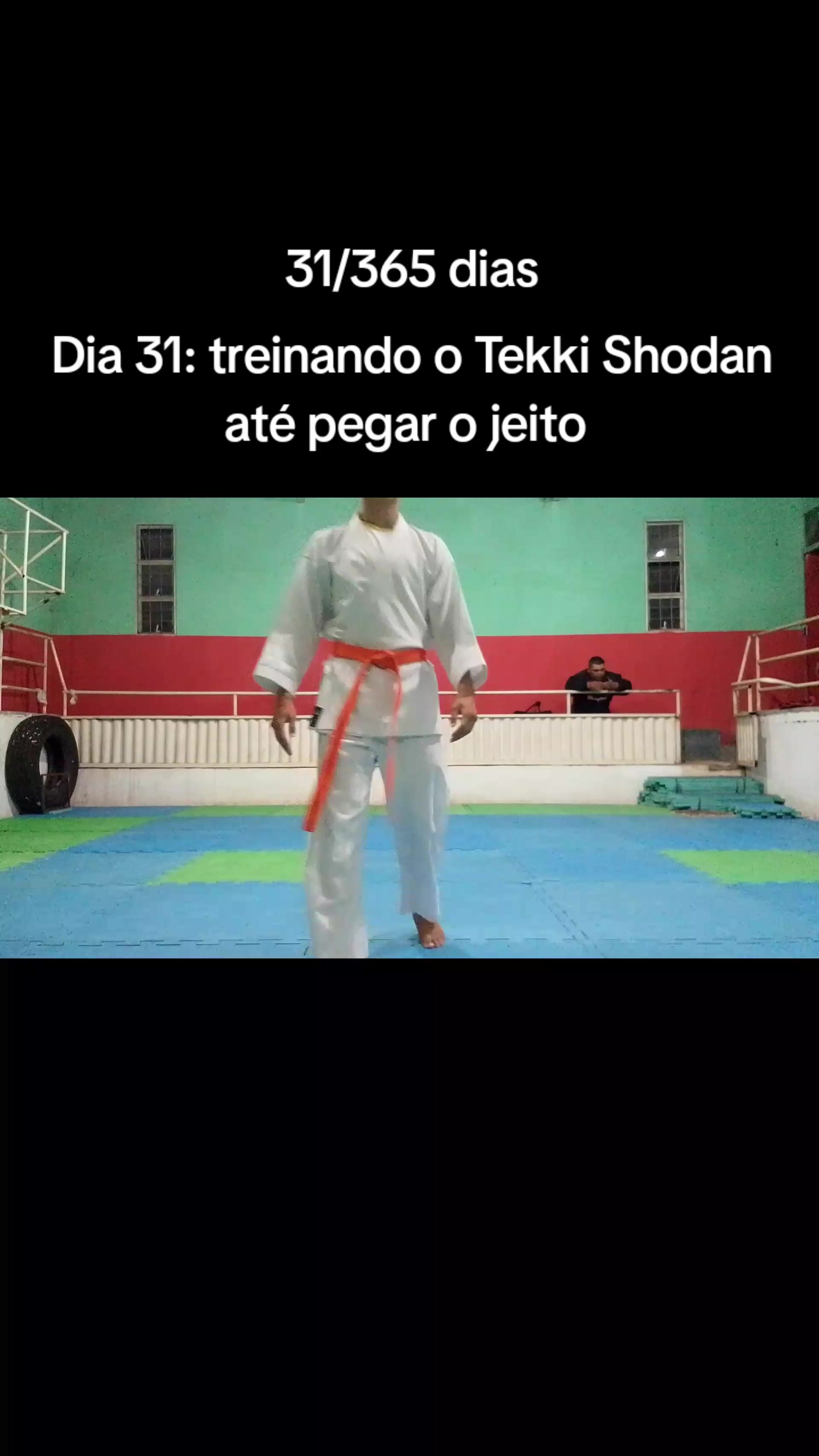 @ZXEverton_Aylan(the grappler)