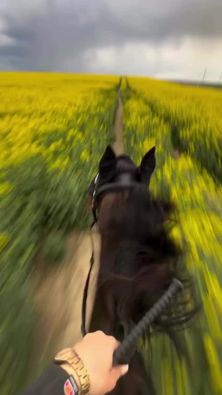 @ThunderGallops