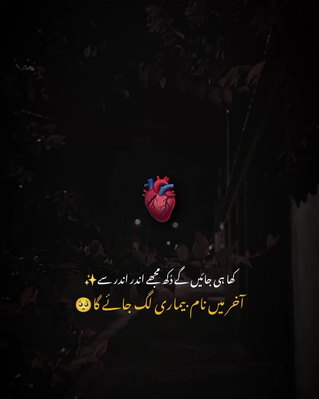 @MrS ArSaLaN♥️