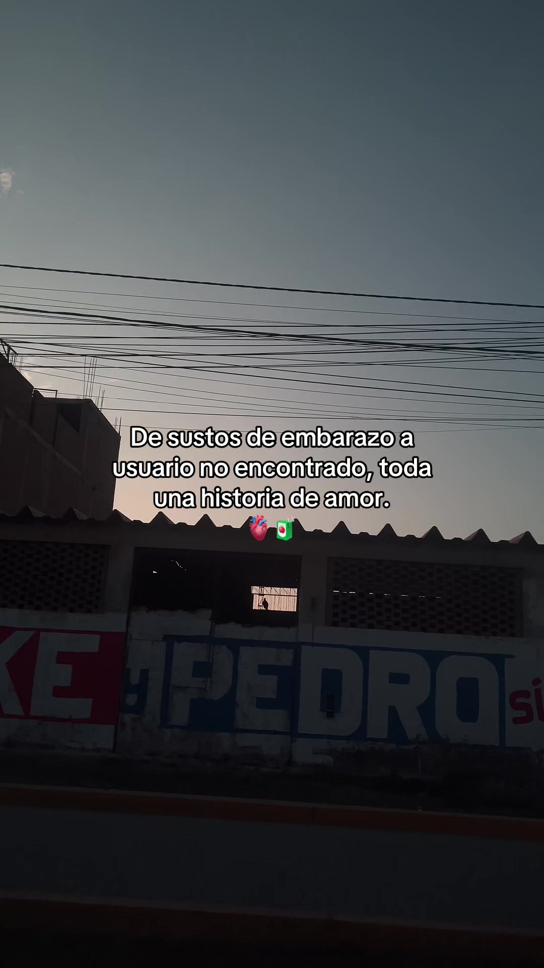 @Gatocix 🐱