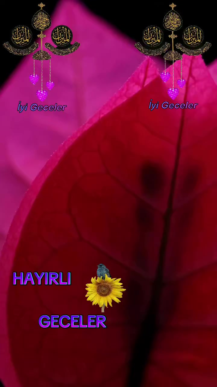 @aynur Kocakaya 280.🤲