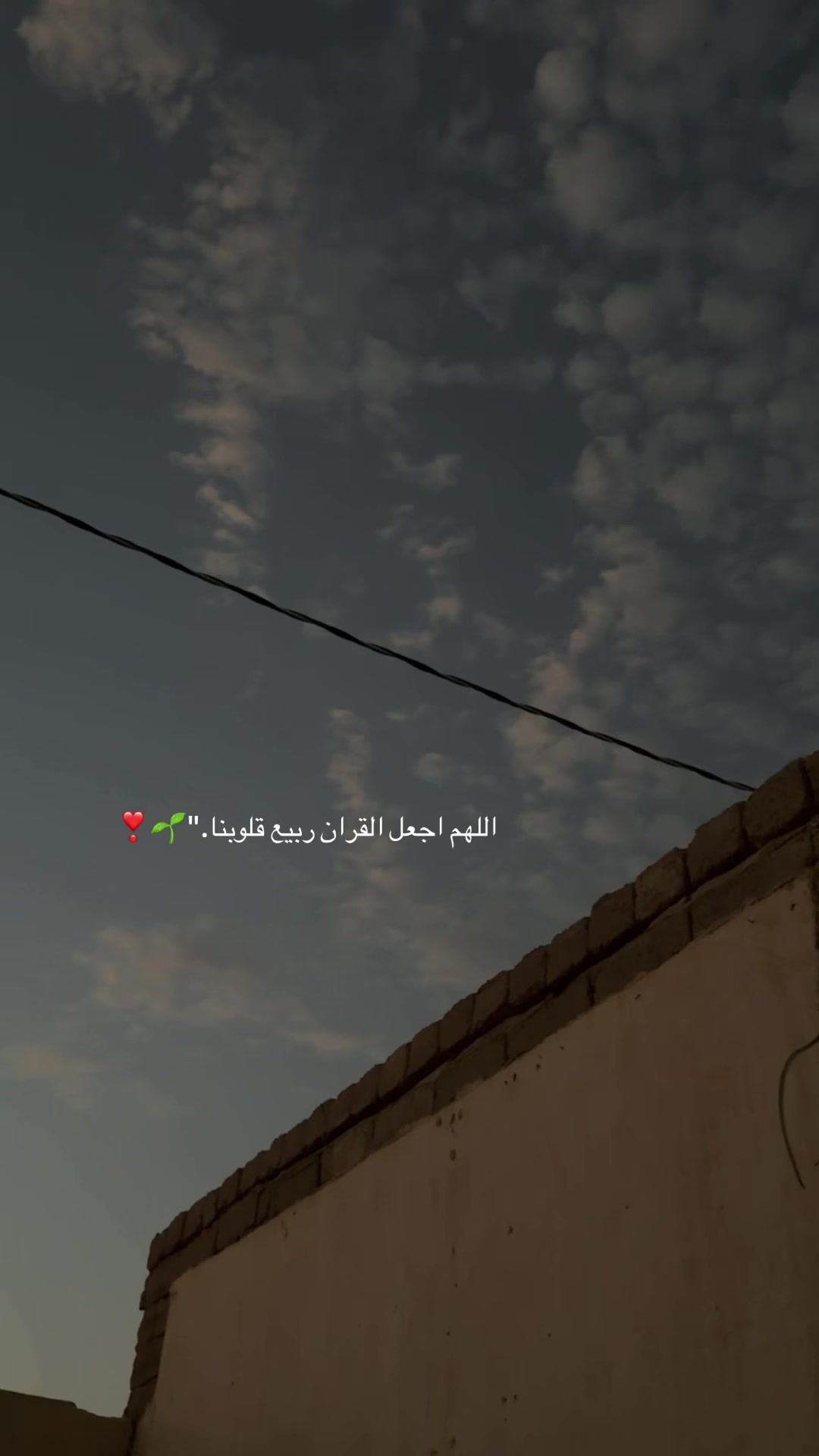 @مرام المدينه🦌