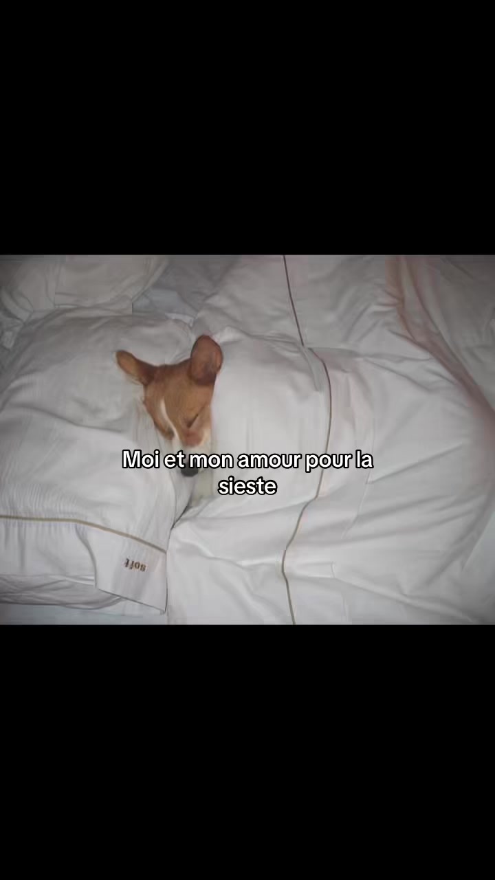 @d4l1_blgcm