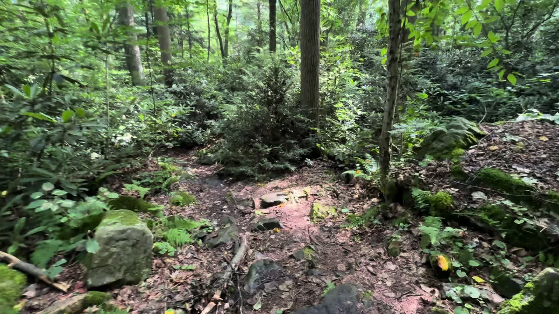 @thehikingpeach