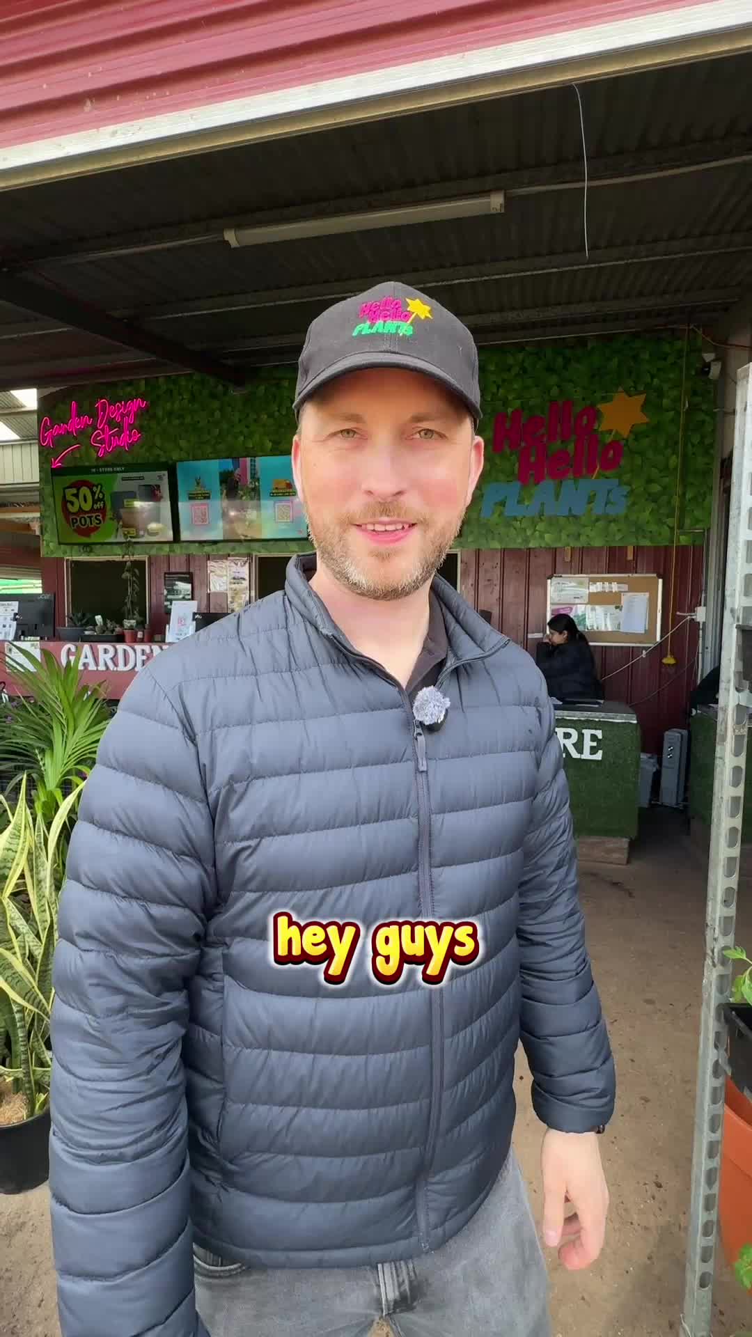 @Hello Hello Plants Nursery