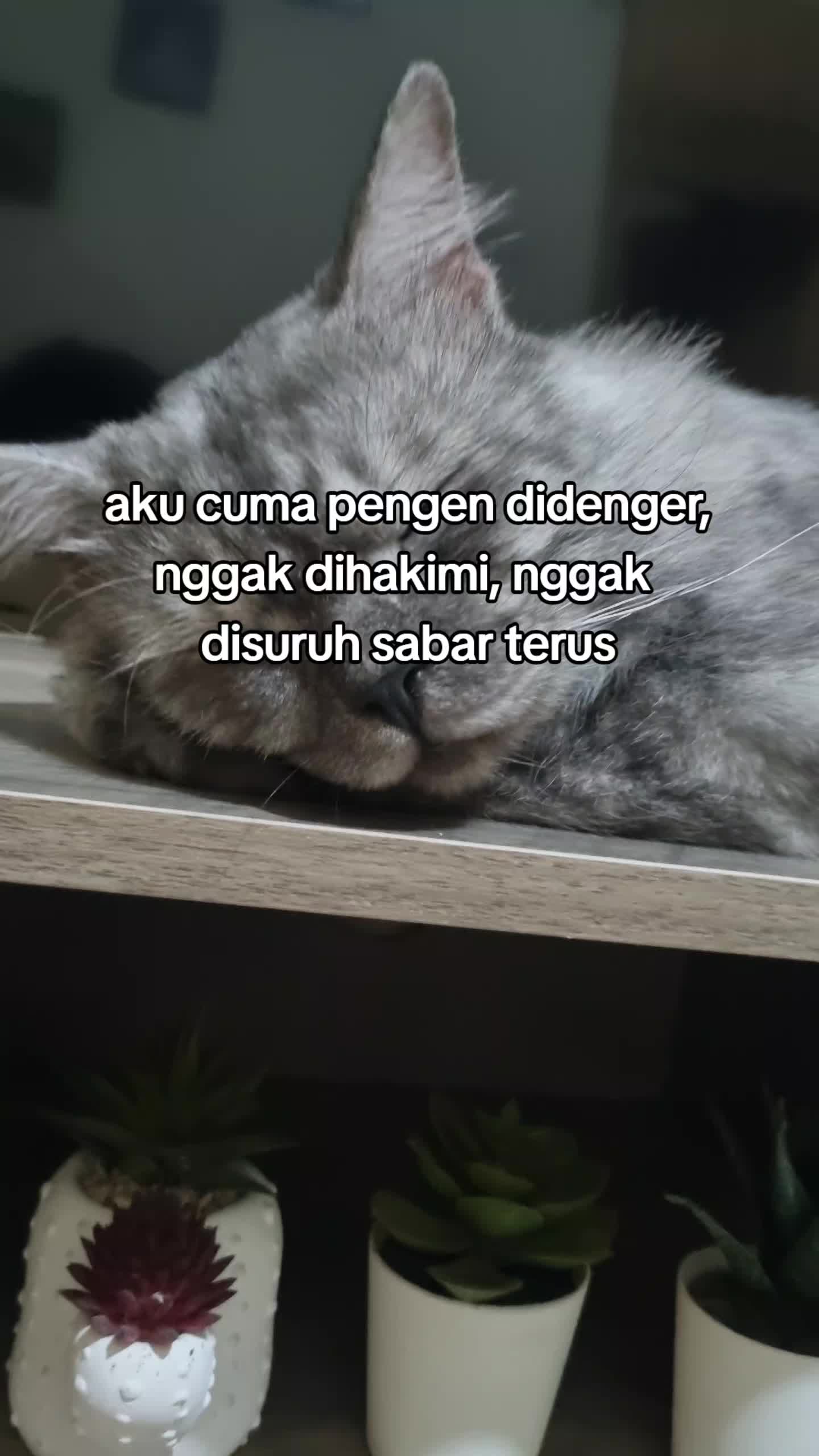 @wariii