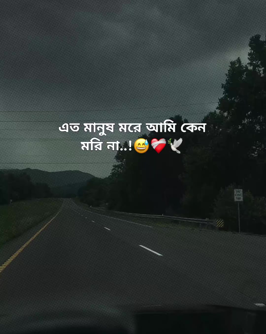 @🌷পিচ্চি–কবি🌷