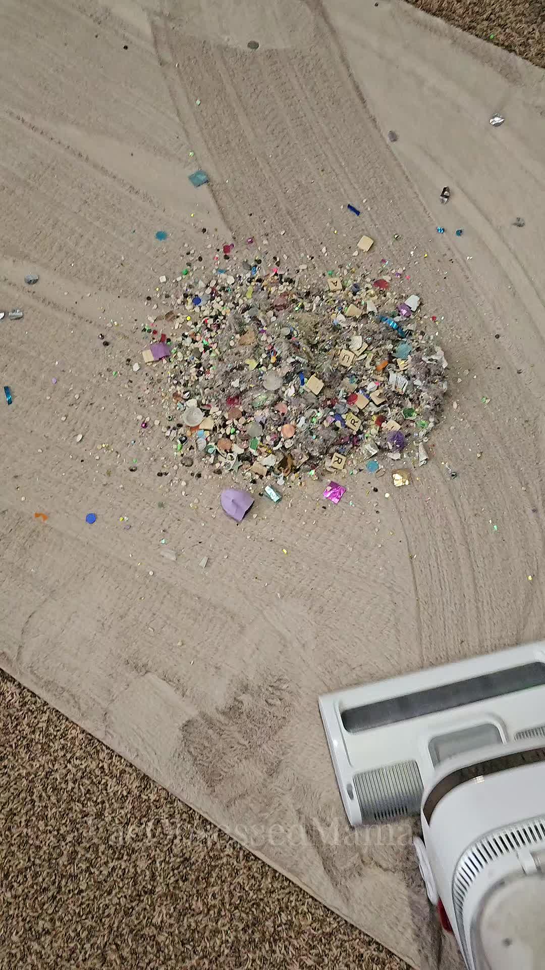 @vacobsessedmama