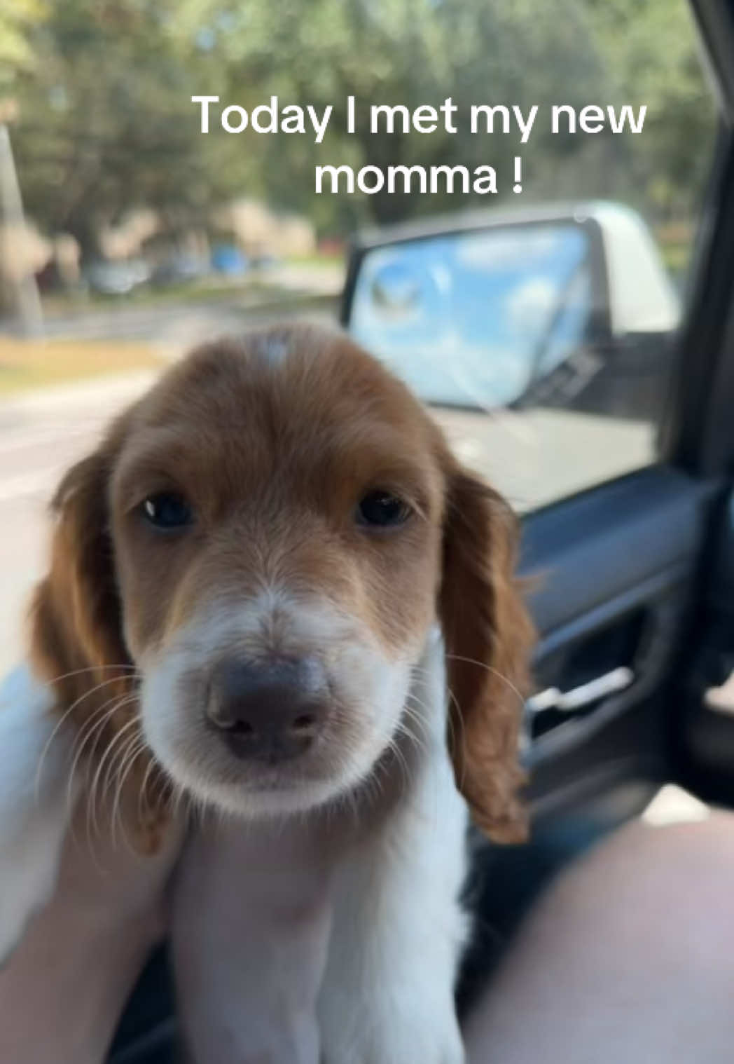 @MyDitzyDoxiesOfFlorida