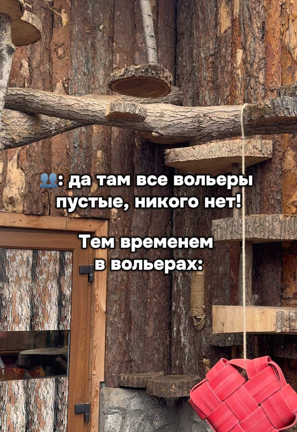 @Даша из зоопарка
