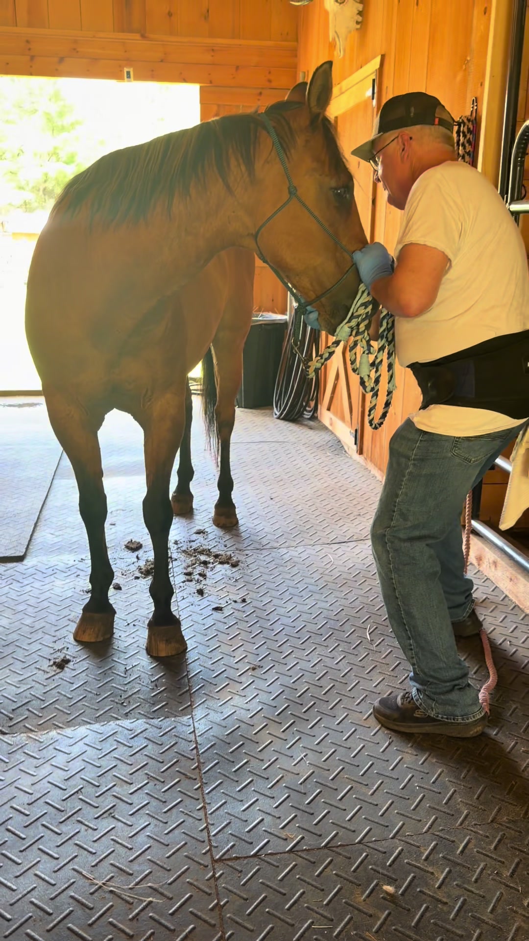 @Unshackled Hearts Ranch