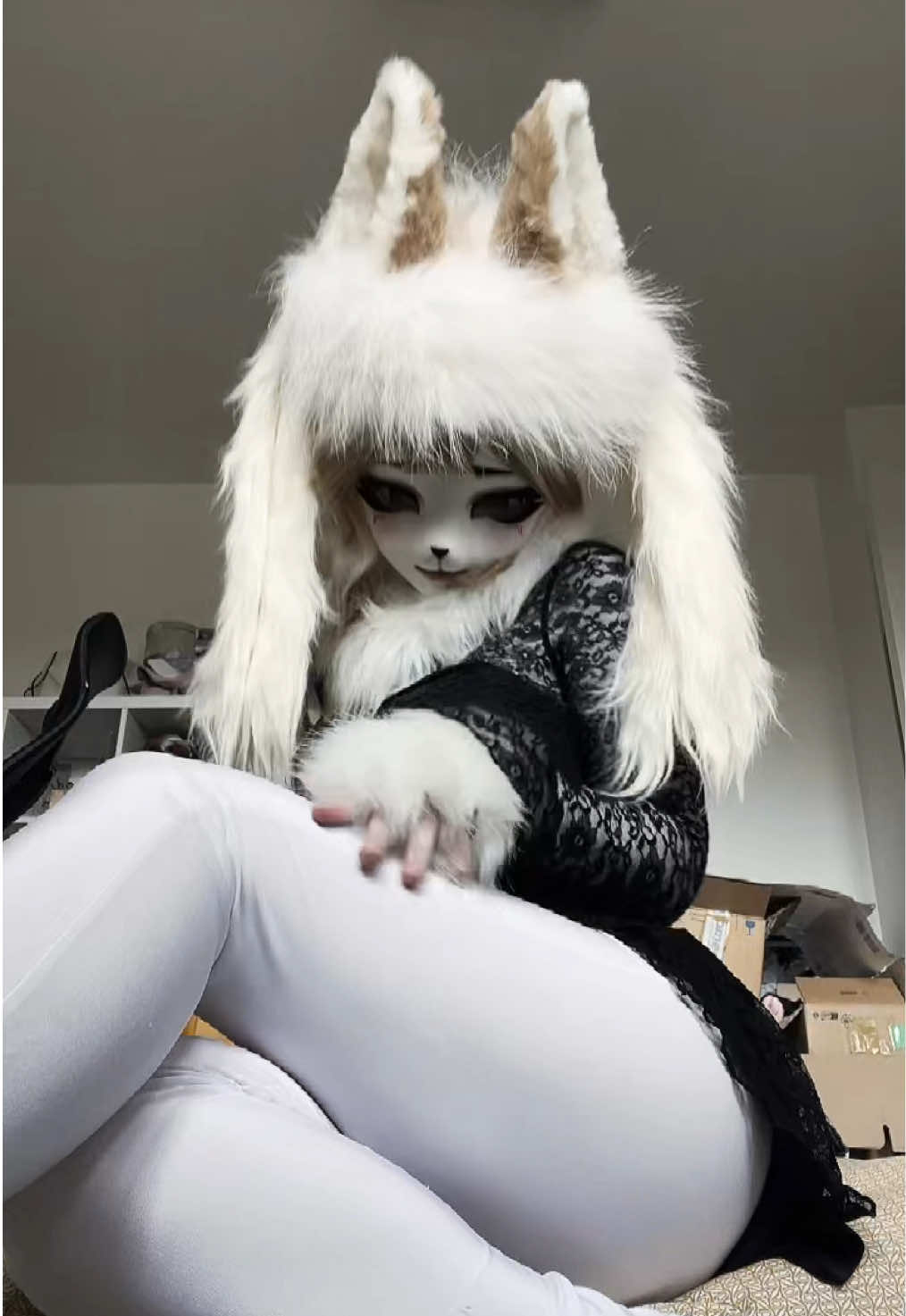 @felix 💤