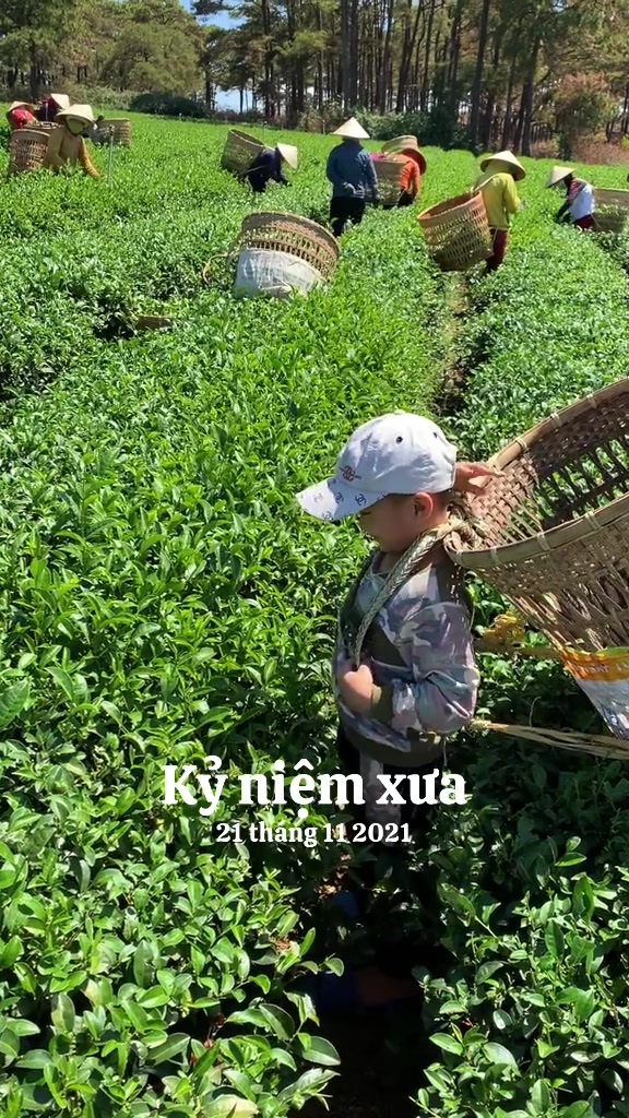 @N&ocirc;ng Trường olong Tằng Vĩnh An