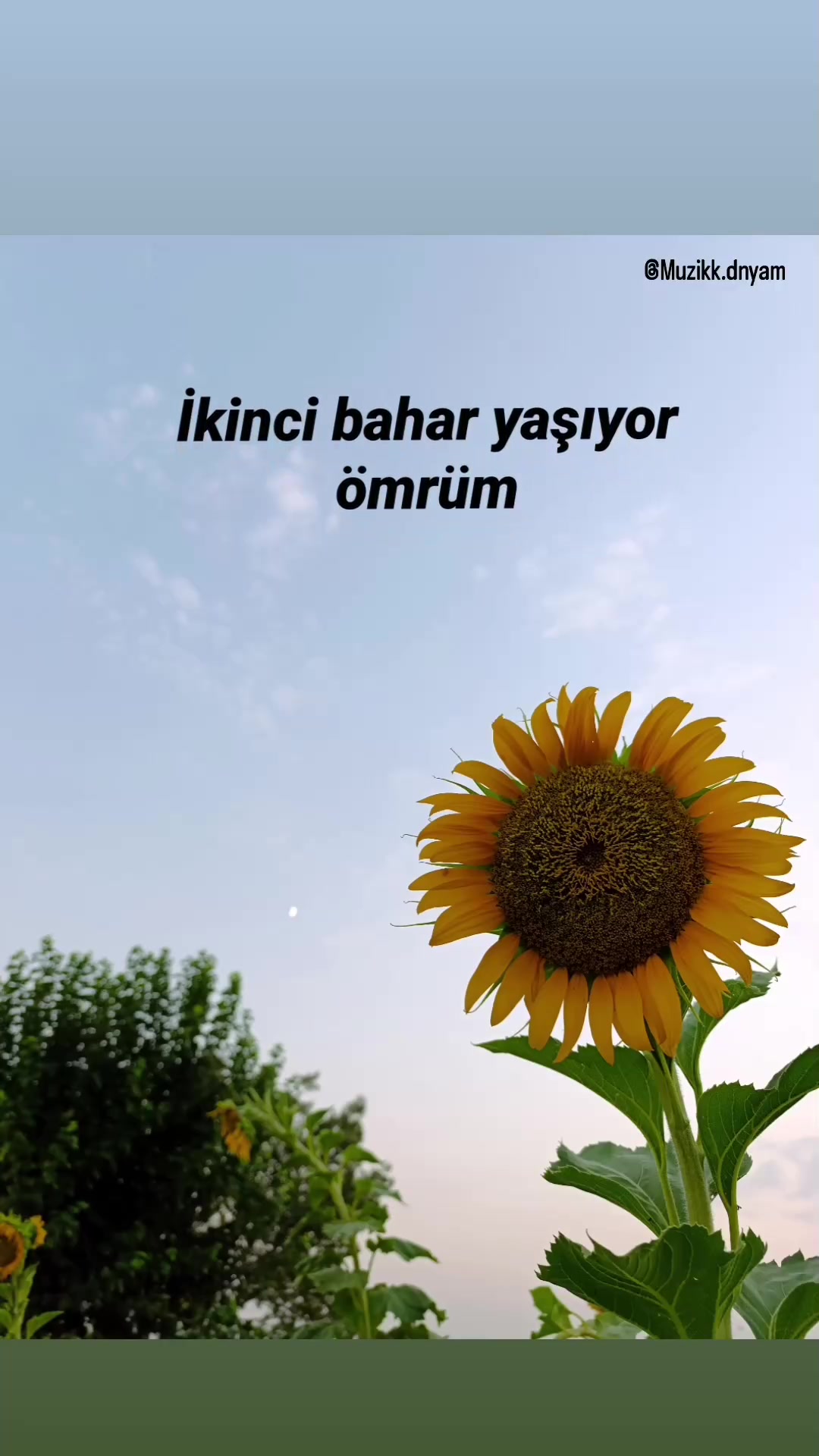 @mavii_&ccedil;elik