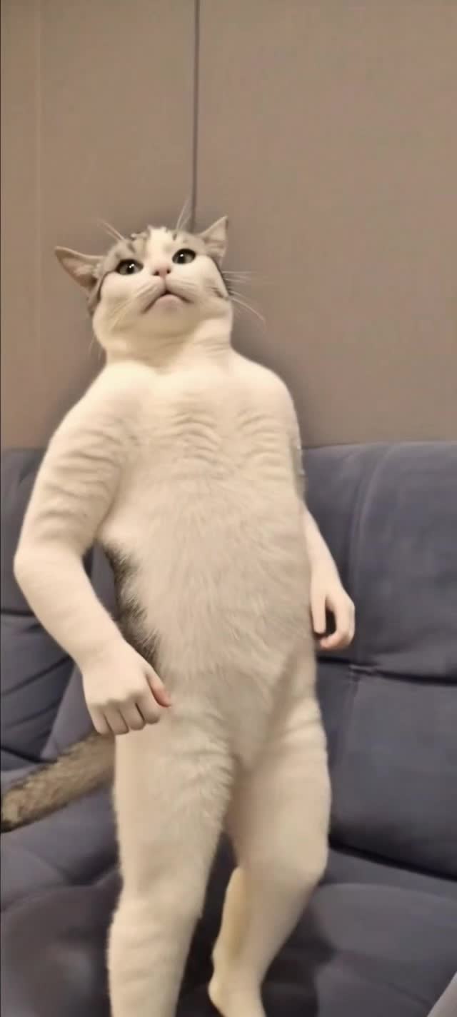 @Я кошка Зинаида