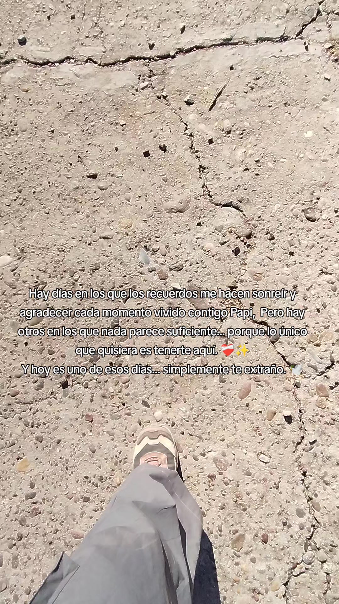 @Lul&uacute; G&oacute;mez Chapis