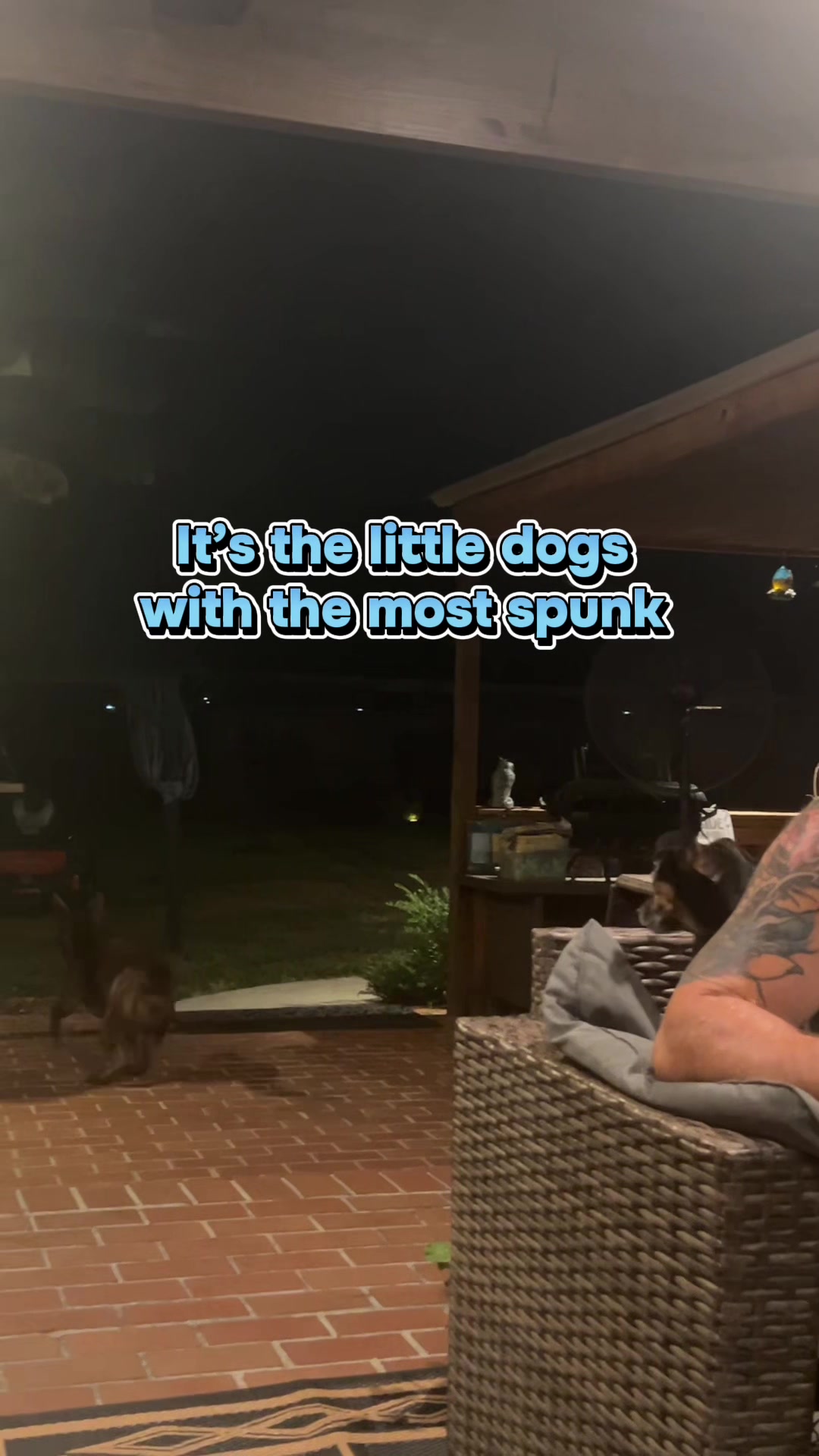 @Kristen D