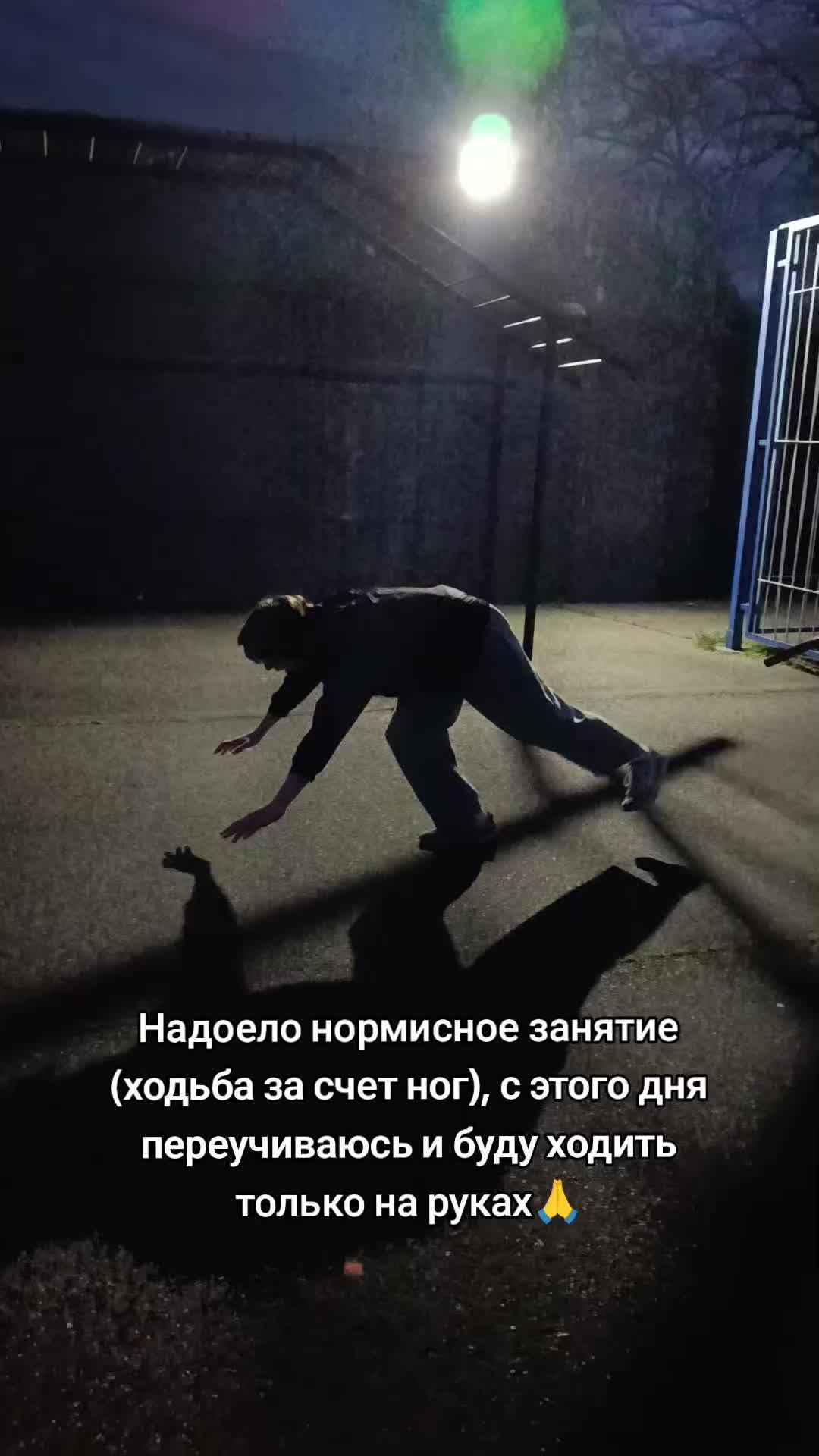 @Лучезарный хрякᛉ