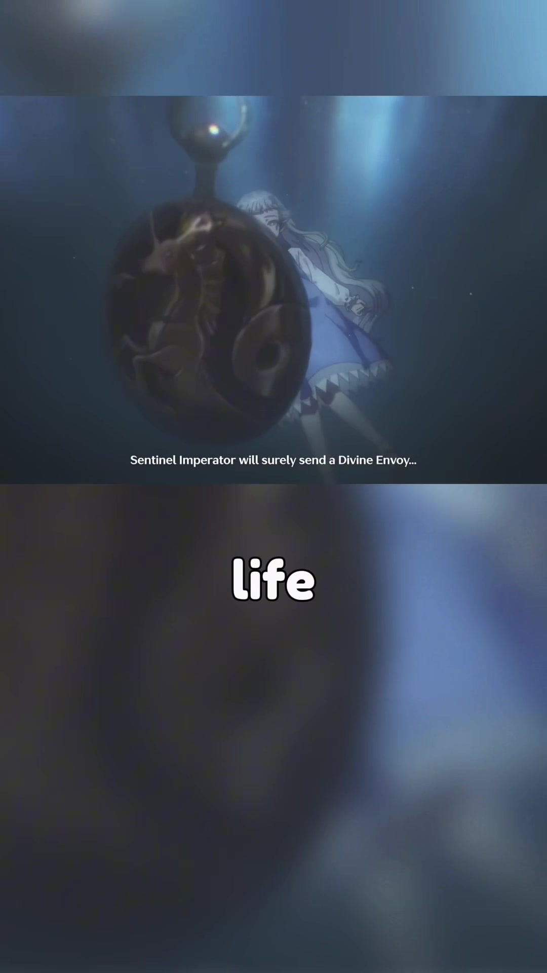 @acshoyo