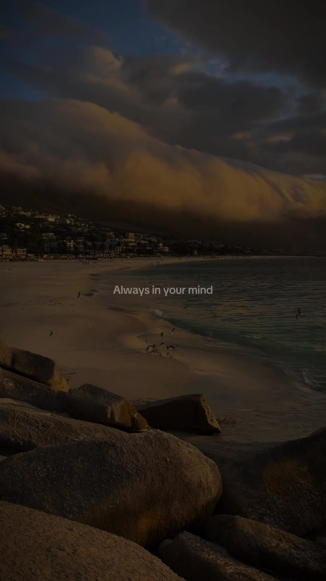 @𝟑𝟎𝟑 𝐋𝐘𝐑𝐈𝐂𝐒