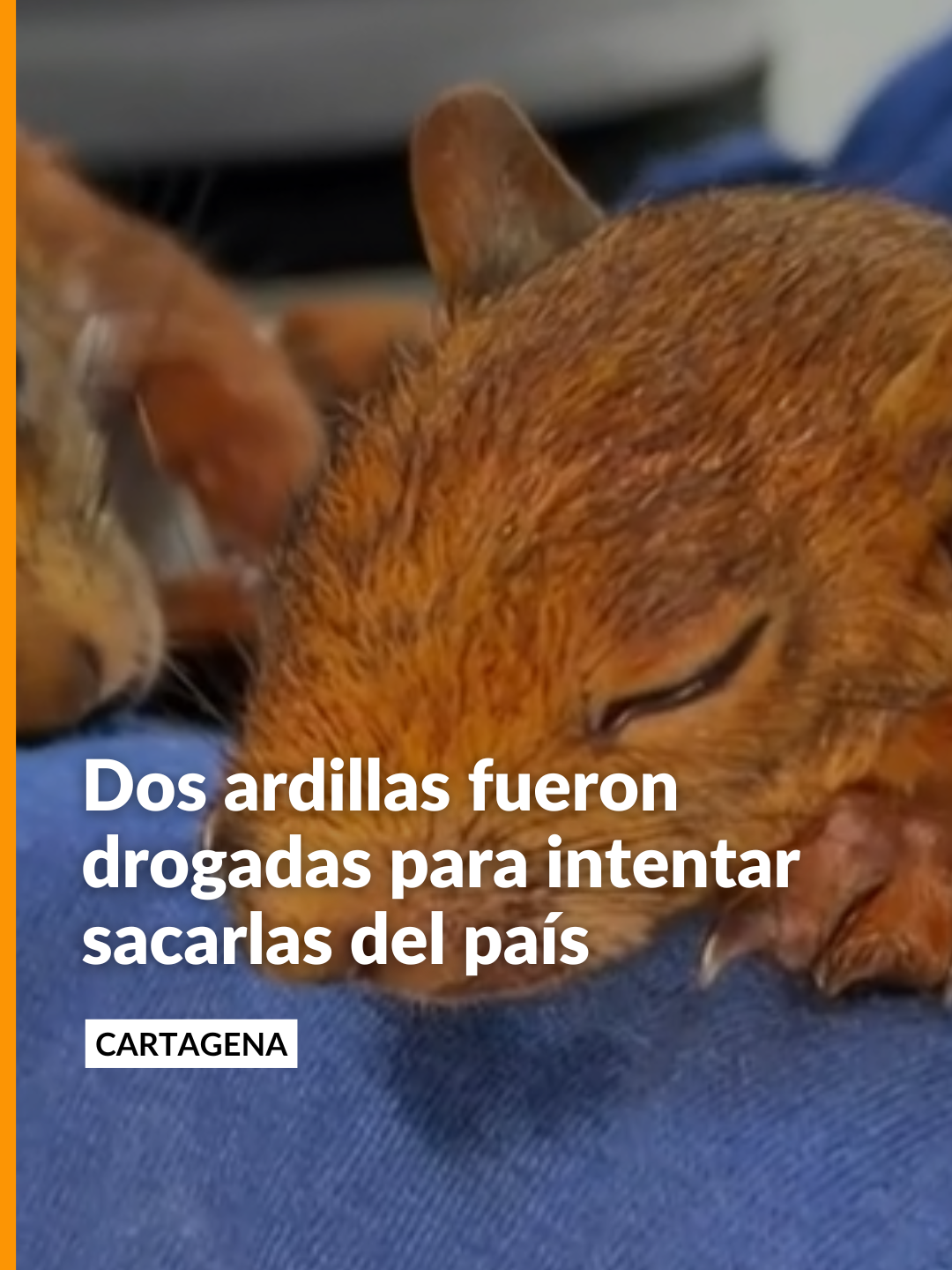 @Noticias Caracol