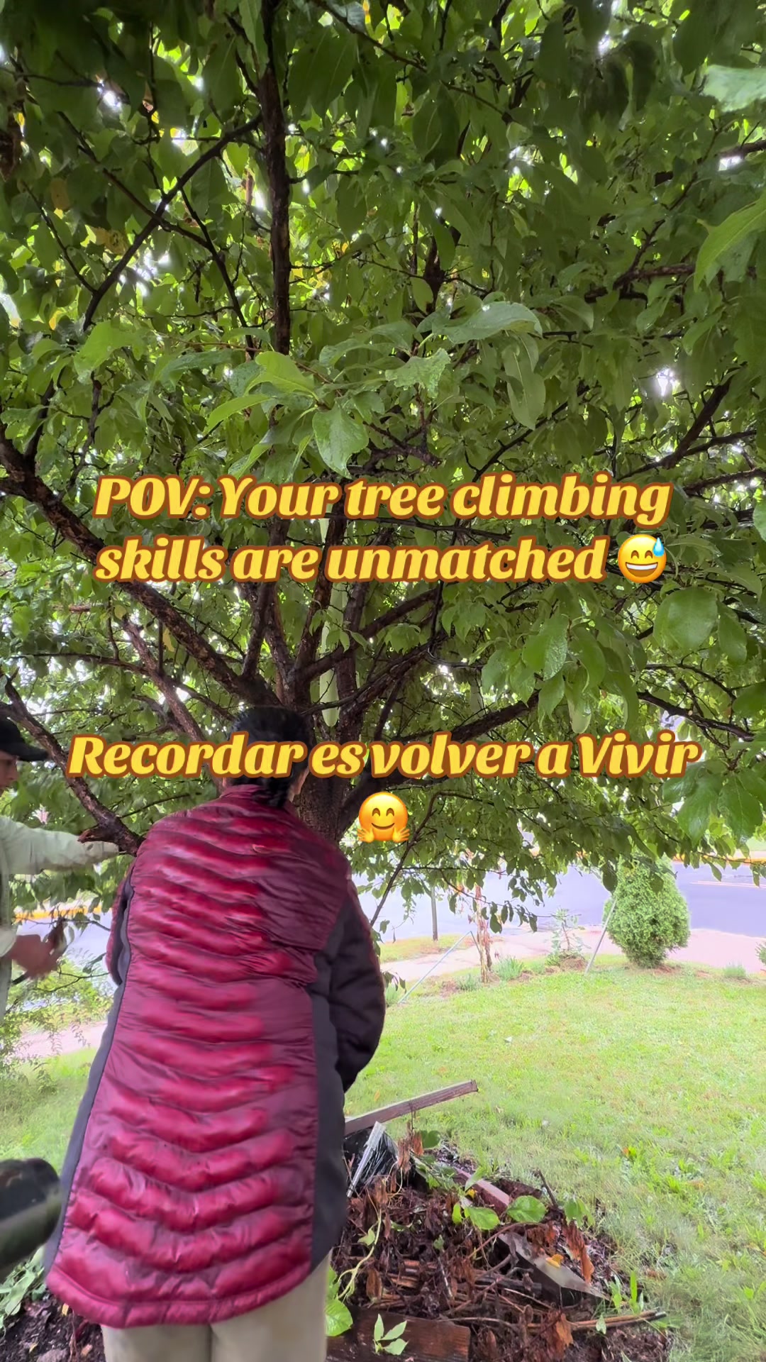 @Veronica Castillo