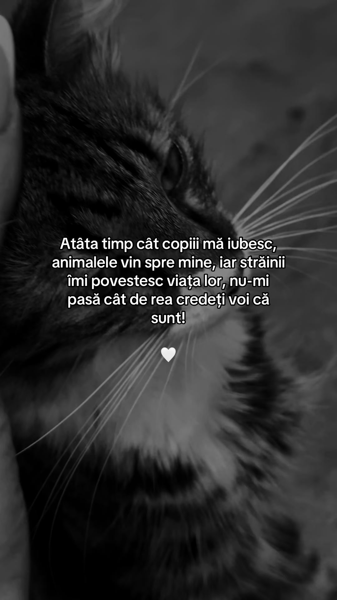 @C C C 🤍