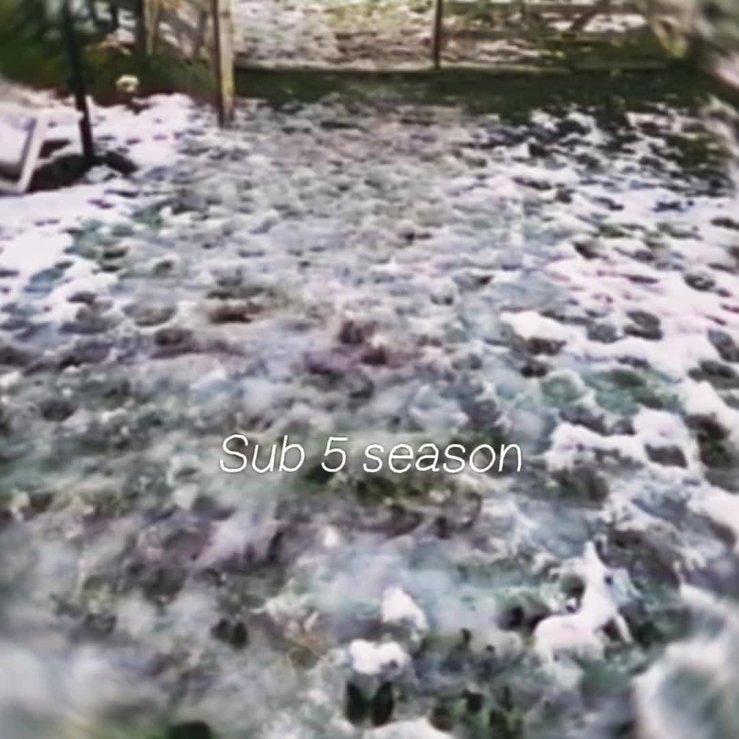 @ᴢᴀᴄᴋ ('-')