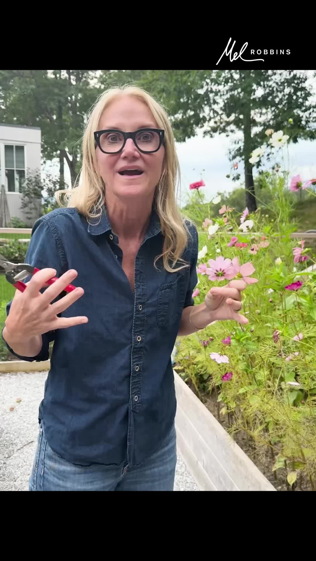 @Mel Robbins