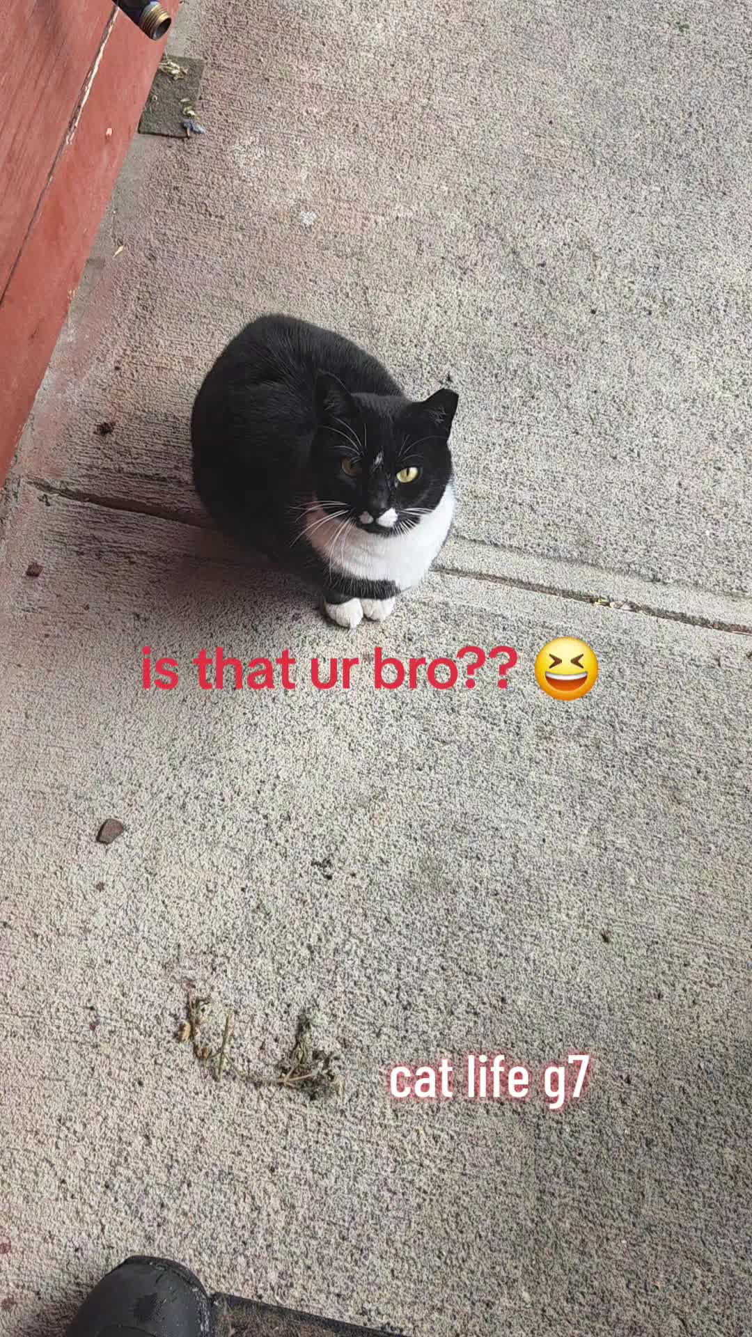 @GersonR