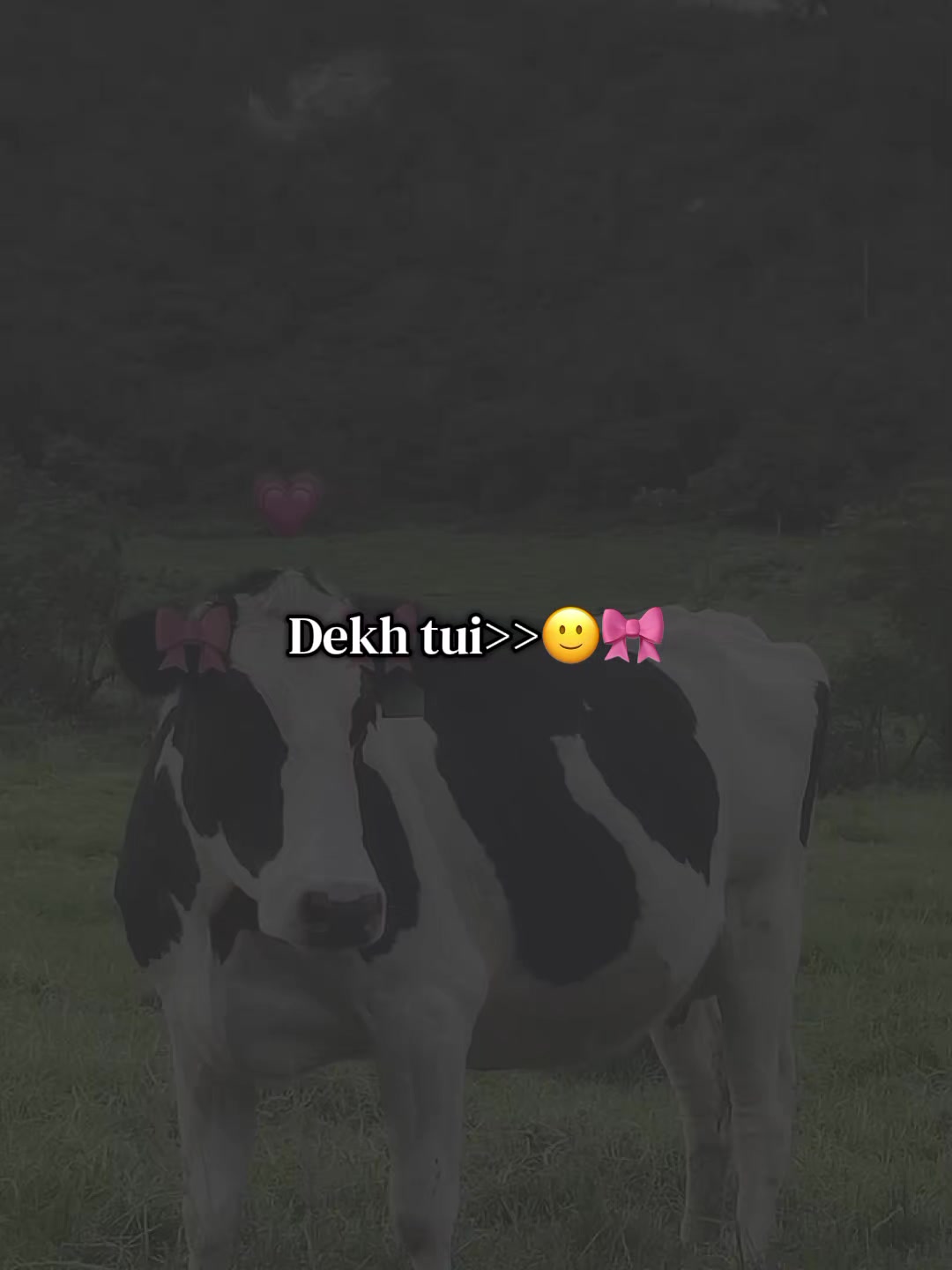 @⏤͟͟♡𝐉𝐢𝐬ꫝ𝐧ᥫ᭡𝐁𝐛𝐳♡𐙚🧃👄