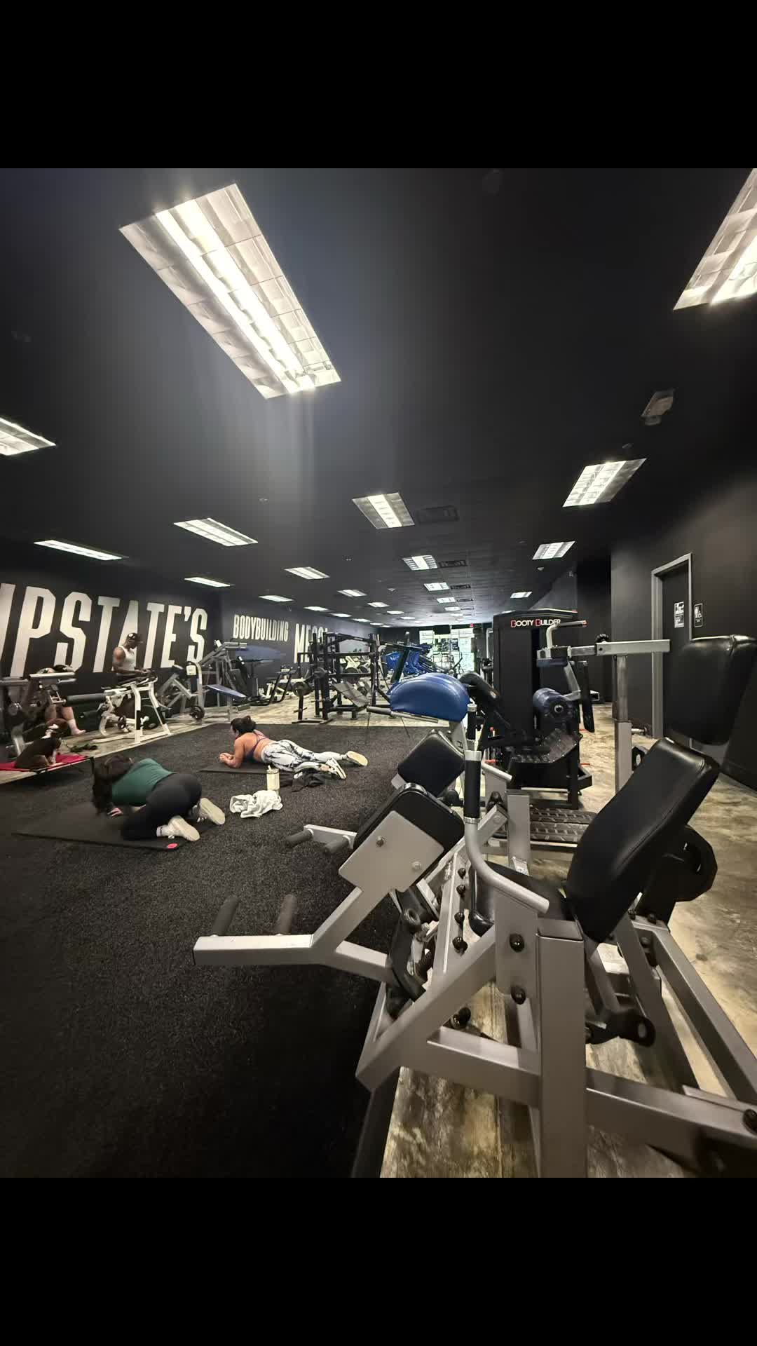 @Gym rat trainer