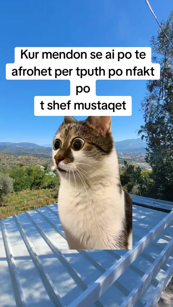 @M&aacute;řs&sect;&iuml;ii♪✈︎❤̷̸̧̤̺͕̮