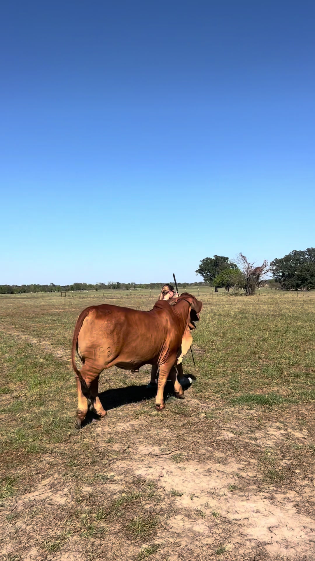 @The V6 Ranch