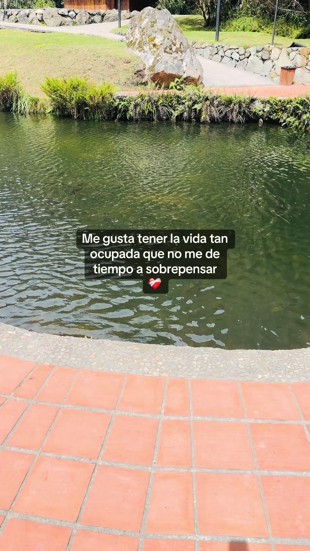 @Roselen
