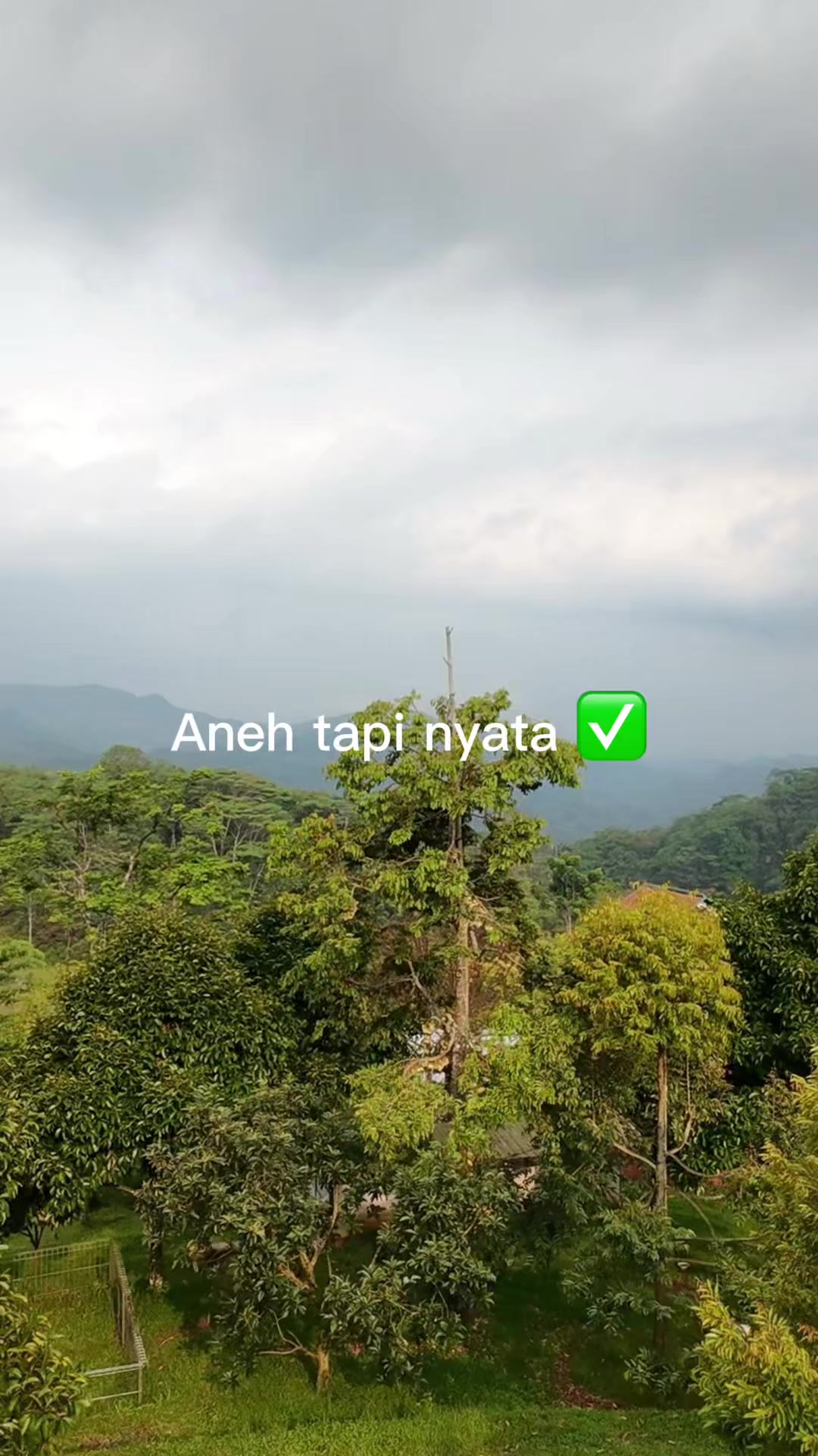 @AA KADU