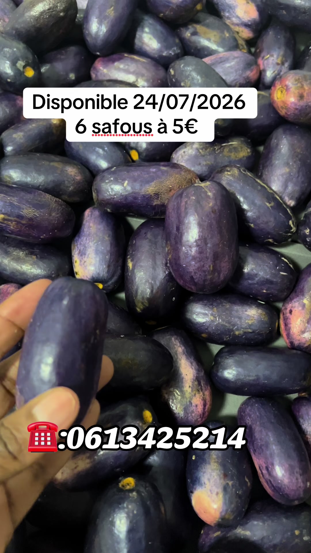 @kongoracines